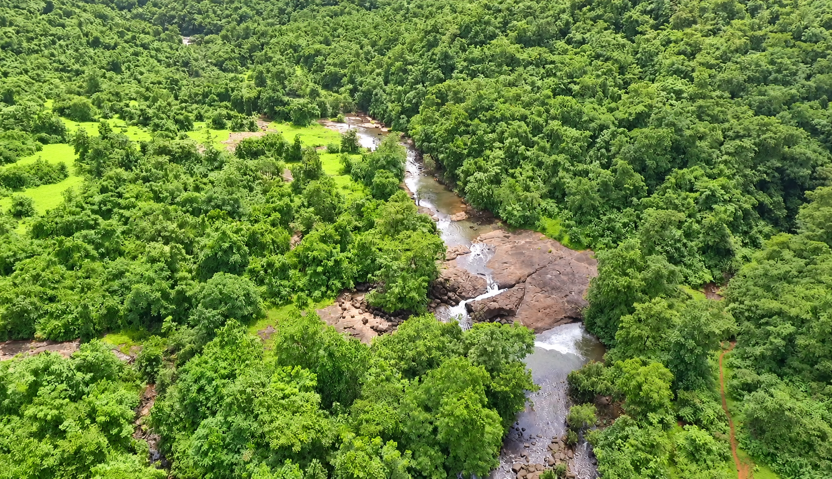 A stream running through the green landscape around Breathe Woods