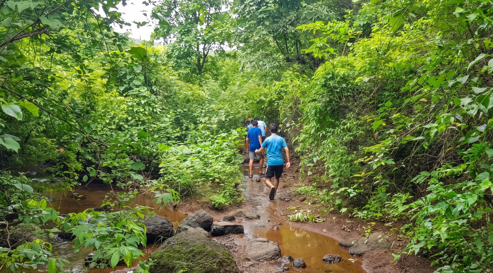 Guests walking a green rain-fed trail near Breathe Woods